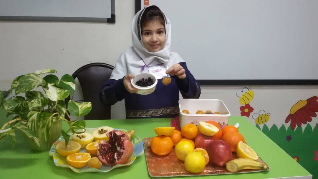 تدریس دانه ها بخش علوم در پایه دوم الف دبستان غیر دولتی باران اندیشه